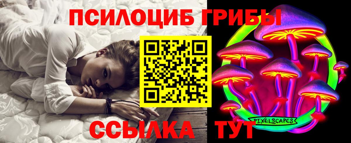 Галлюциногенные грибы Psilocybe Можайск
